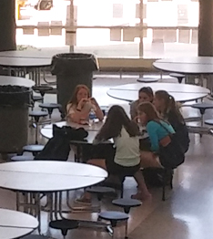 Students sit at tables